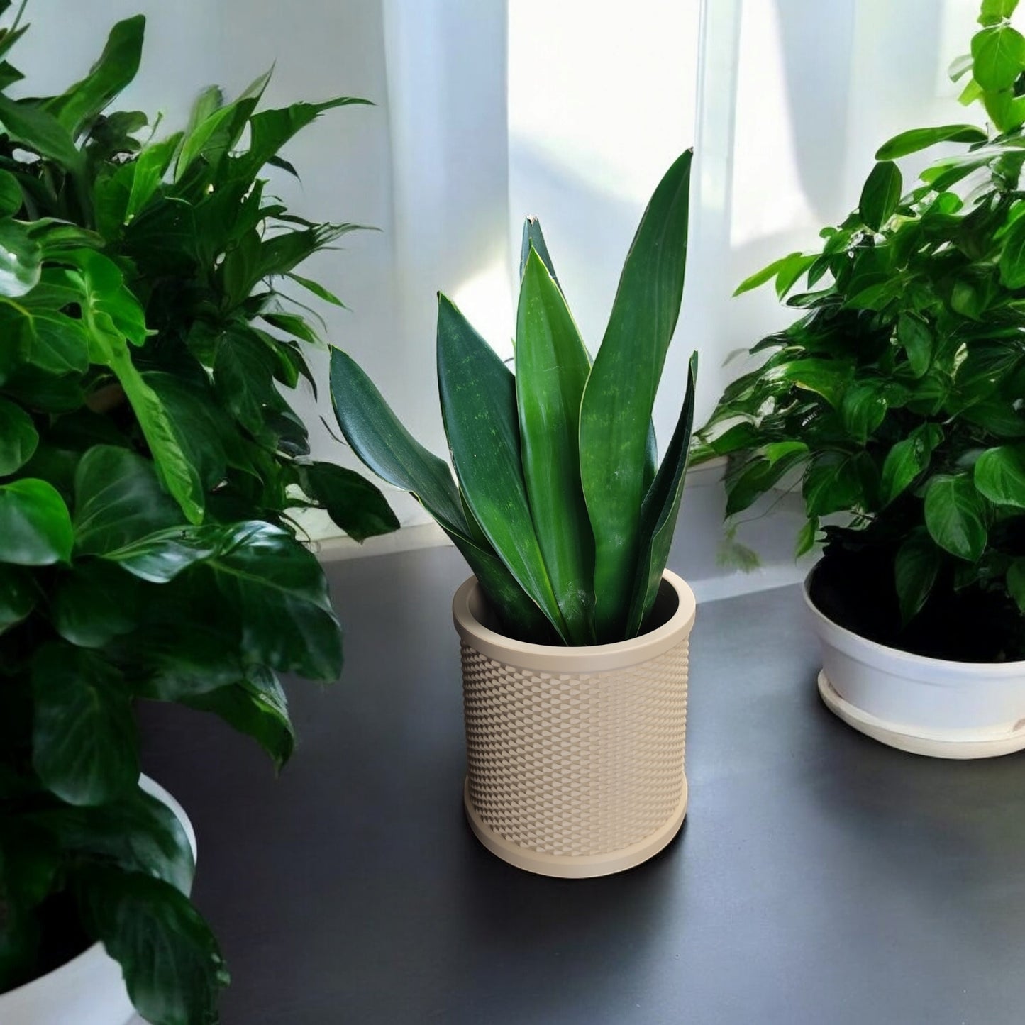 6" Design Planter | Modern Minimal Home Decor