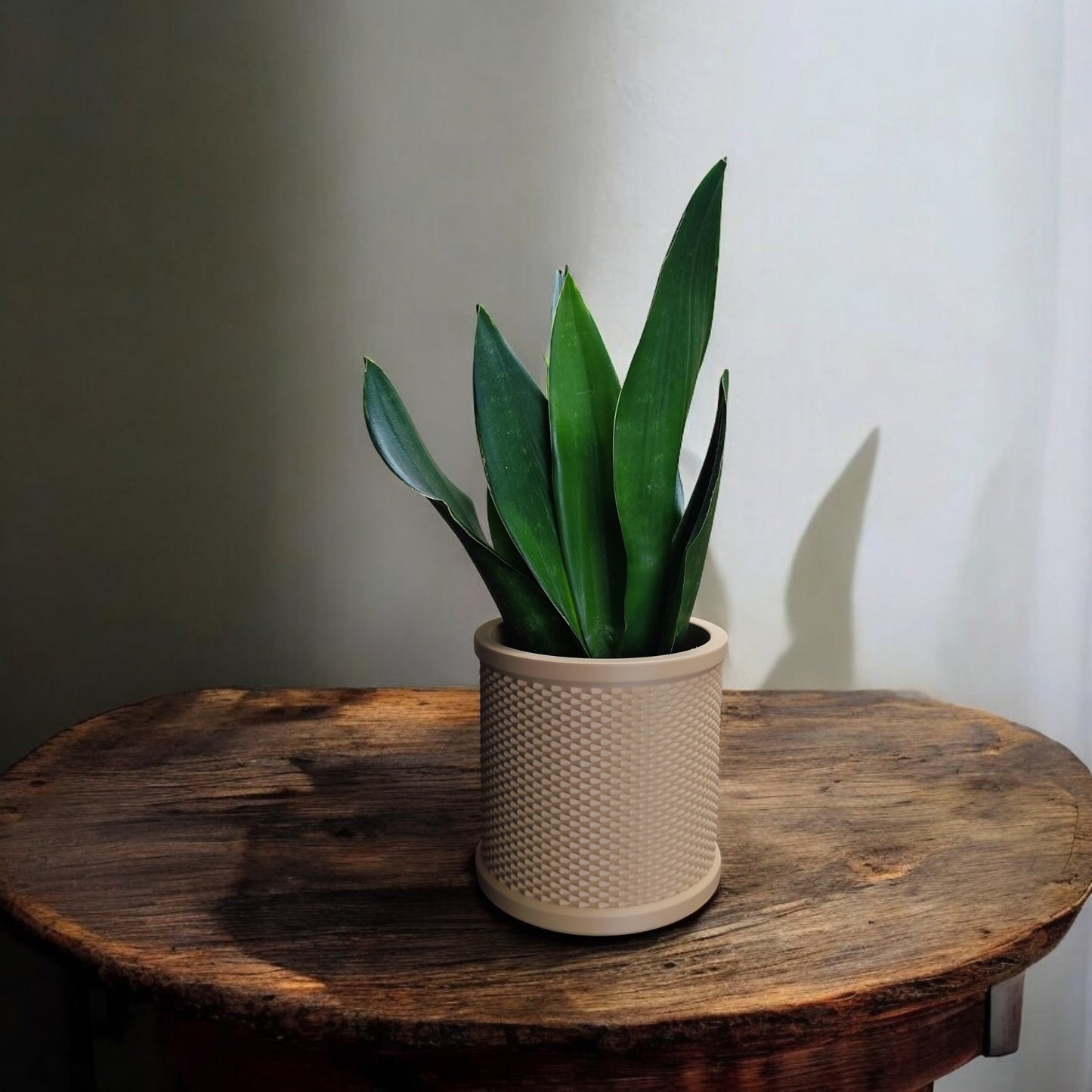 6" Design Planter | Modern Minimal Home Decor